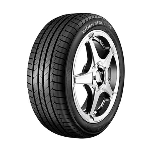 Pneu Goodyear Aro 17 EfficientGrip 245/45R17 95W TL